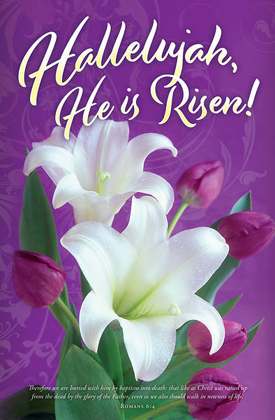 Picture of Hallelujah He is Risen! Easter Regular Size Bulletin (Pkg of 100)
