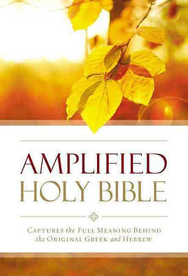 Picture of Amplified Outreach Bible