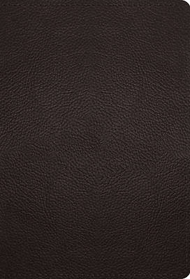 Picture of ESV Large Print Compact Bible (Buffalo Leather, Deep Brown)