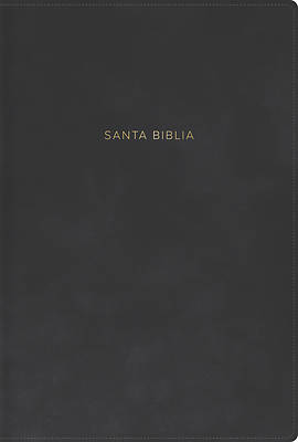 Rvr 1960 Biblia Letra Grande, Tamaño Manual, Gris, Símil Piel