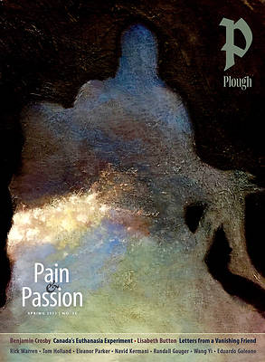 Picture of Plough Quarterly No. 35 - Pain and Passion