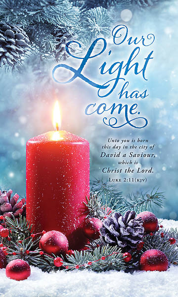 Banner Our Light Has Come Christmas 3x5 Fabric
