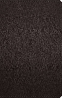 Picture of ESV Large Print Personal Size Bible (Buffalo Leather, Deep Brown)