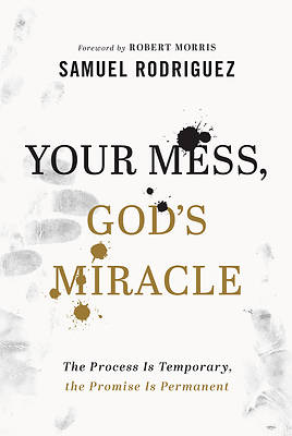 Picture of Your Mess, God's Miracle