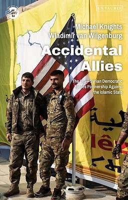 Picture of Accidental Allies