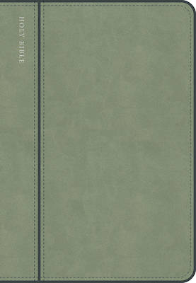 CSB Personal Size Giant Print Bible, Optimal Type, Digital Study Edition, Sage Suedesoft Leathertouch