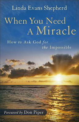 Picture of When You Need a Miracle - eBook [ePub]