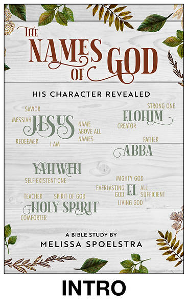 Picture of The Names of God - Women's Bible Study Streaming Video Introductory Session