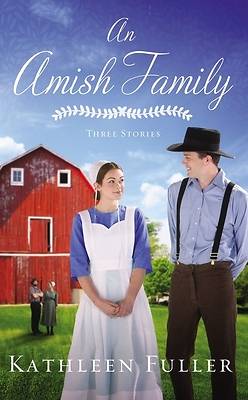 Picture of An Amish Family