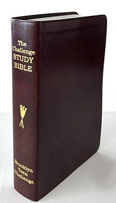 Picture of CEV Challenge Study Bible-Flexi Cover
