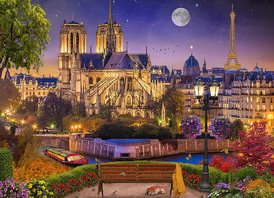 Picture of Notre Dame Night Jigsaw Puzzle