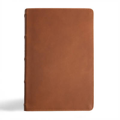 Picture of CSB Men's Daily Bible, Brown Genuine Leather, Indexed