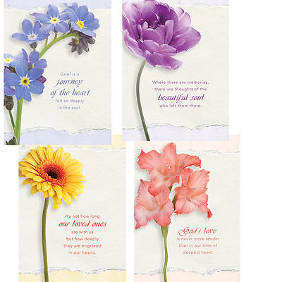 Picture of Journey of the Heart Sympathy Cards - Box of 12
