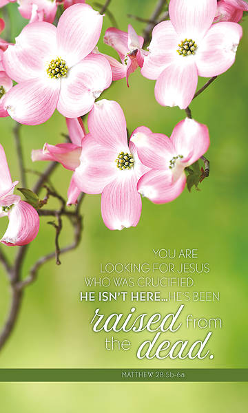 Picture of You Are Looking for Jesus Banner 3 x 5 Vinyl