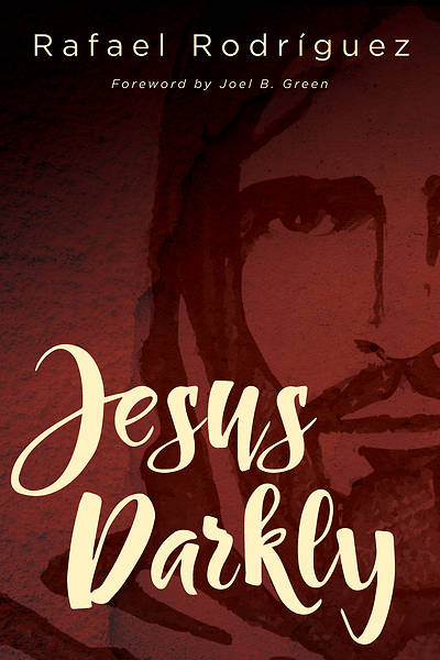 Picture of Jesus Darkly - eBook [ePub]