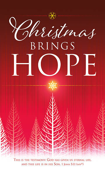 Picture of Christmas Brings Hope 3' x 5' Vinyl Banner 1 John 5:11 NIV