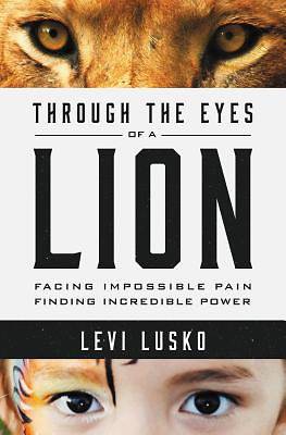 Picture of Through the Eyes of a Lion
