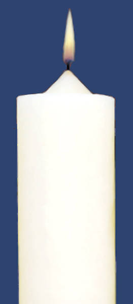 Stearic Altar Candles Emkay 12 x 1 1/2 Pack of 12 Plain End