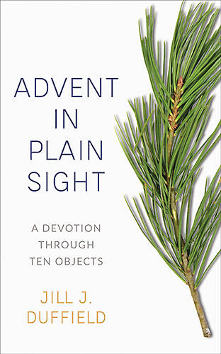 Picture of Advent in Plain Sight