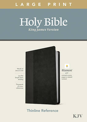 Picture of KJV Large Print Thinline Reference Bible, Filament Enabled Edition (Red Letter, Leatherlike, Black/Onyx)
