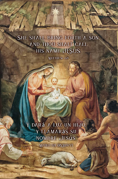 Picture of She Shall Bring Forth A Son Christmas Bilingual Regular Size Bulletin