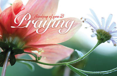 Picture of Praying for You - Postcards - Pack of 25