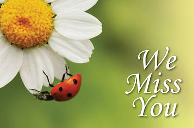 Picture of We Miss You Ladybug Postcard (Pkg of 25)
