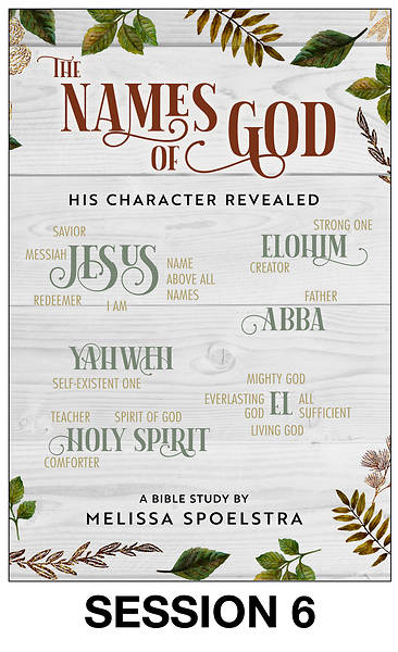 Picture of The Names of God - Women's Bible Study Streaming Video Session 6