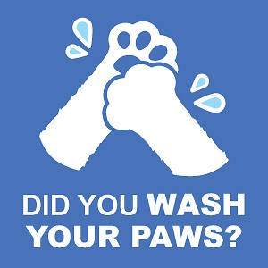 Picture of Did You Wash Your Paws Kids 9"x9" Wall Decal Sign - 2 Pack