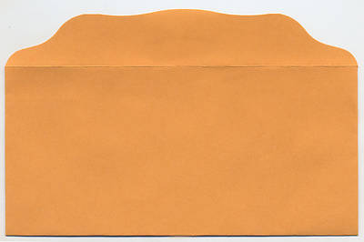 Picture of Blank Bill Size Offering Envelope - Pack of 100