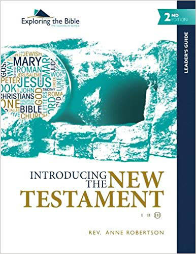 Picture of Introducing the New Testament - Leaders Guide