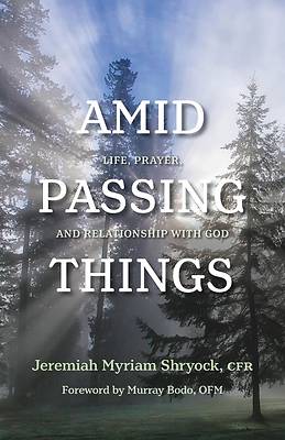 Picture of Amid Passing Things