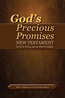 Picture of God's Precious Promises New Testament