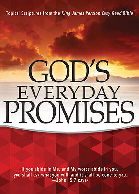 Picture of God's Everyday Promises