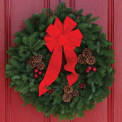 Picture of Fresh-Cut Balsam Christmas Wreath 24 Inch