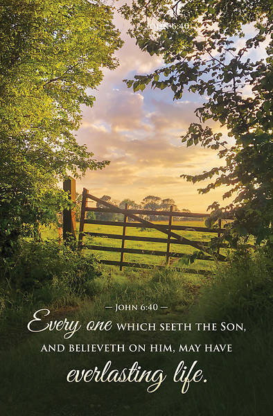 Every one Seeth the Son and Believeth Funeral Bulletin