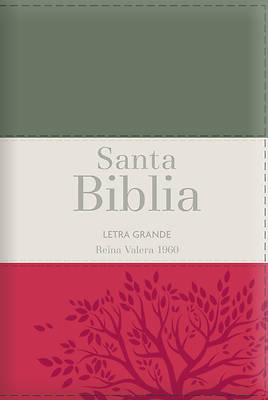 Picture of Biblia Rvr60 Letra Grande - Tamaño Manual / Tricolor