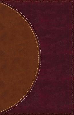 Picture of Amplified Reading Bible, Imitation Leather, Brown, Indexed