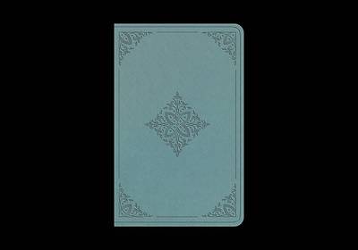Picture of ESV Premium Gift Bible (Trutone, Paris Sky, Fleur-De-Lis Design)