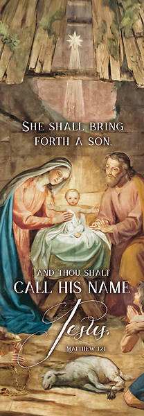 Picture of She Shall Bring Forth A Son Christmas Banner 2 x 6 Vinyl