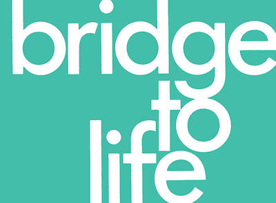 Picture of Bridge to Life (Green) 25-Pack