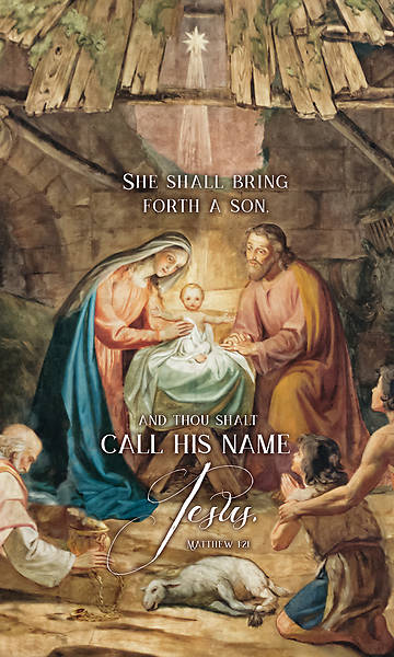 Picture of She Shall Bring Forth A Son Christmas Banner 3 x 5 Vinyl