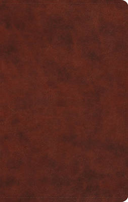 Picture of ESV Large Print Value Thinline Bible (Trutone, Chestnut)