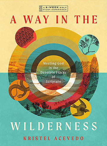 Picture of A Way in the Wilderness