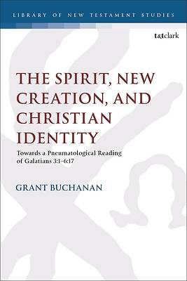 Picture of The Spirit, New Creation, and Christian Identity