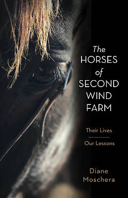Picture of The Horses of Second Wind Farm