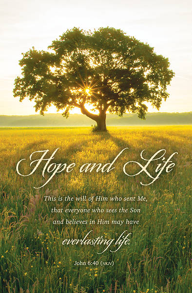 Picture of Hope and Life Funeral Regular Size Bulletin
