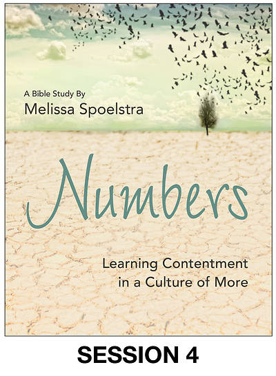 Picture of Numbers - Women's Bible Study Streaming Video Session 4