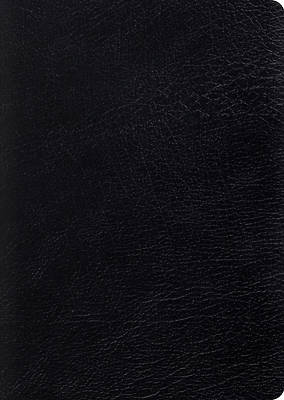 Picture of ESV Study Bible, Large Print (Black)