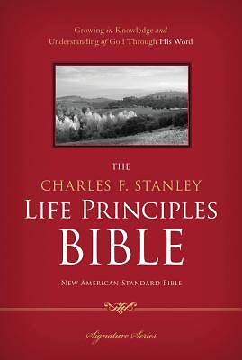 Picture of NASB, The Charles F. Stanley Life Principles Bible - eBook [ePub]